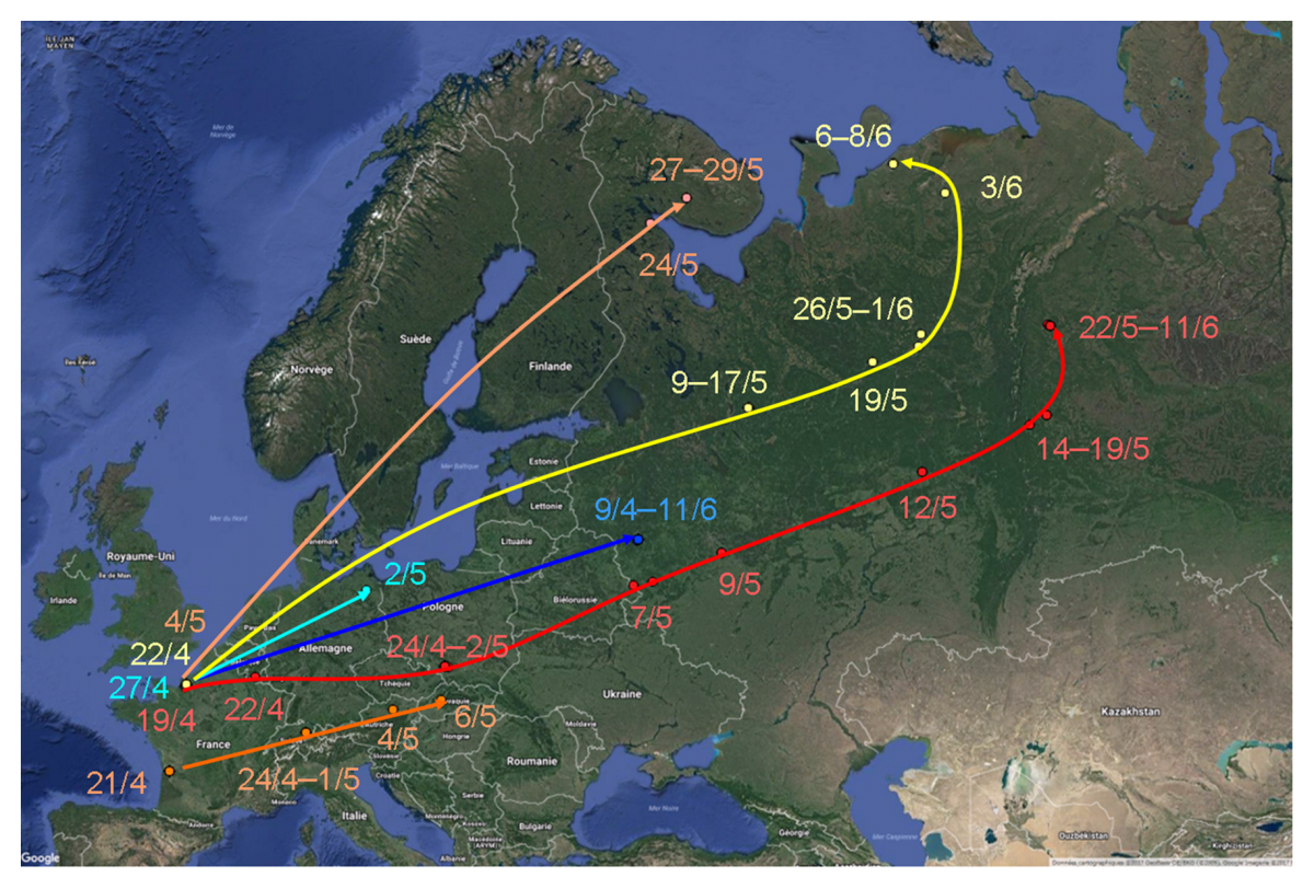 Carte des trajets de migration de printemps de six bécassines équipées de balises GPS/Argos.