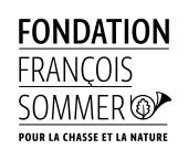 FONDATIONS FRANCOIS SOMMER